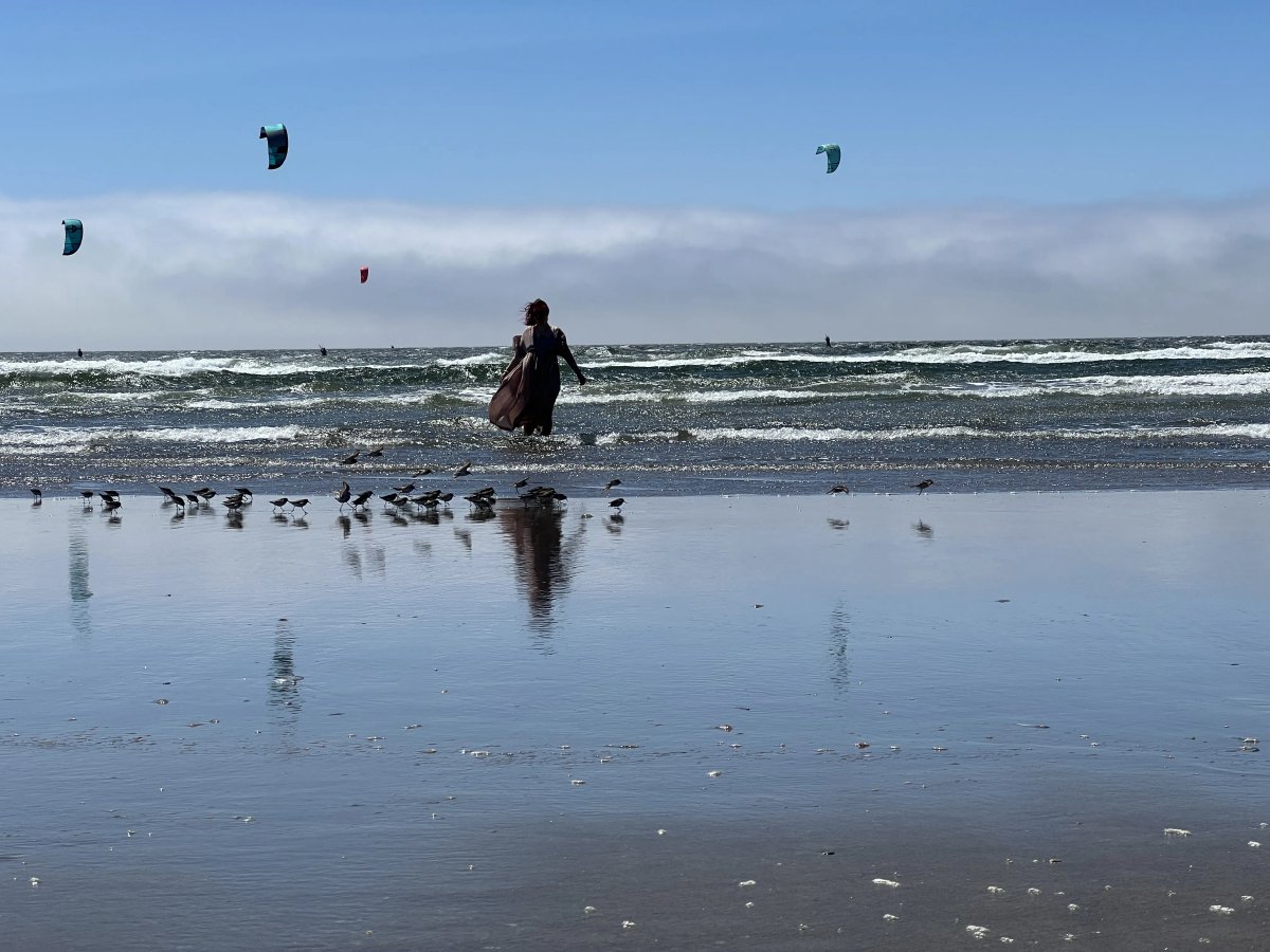 Pacific Northwest - Chris Lee Bergstrom